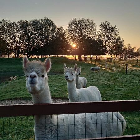 Hof Van Maldegem Kortgene Exteriér fotografie