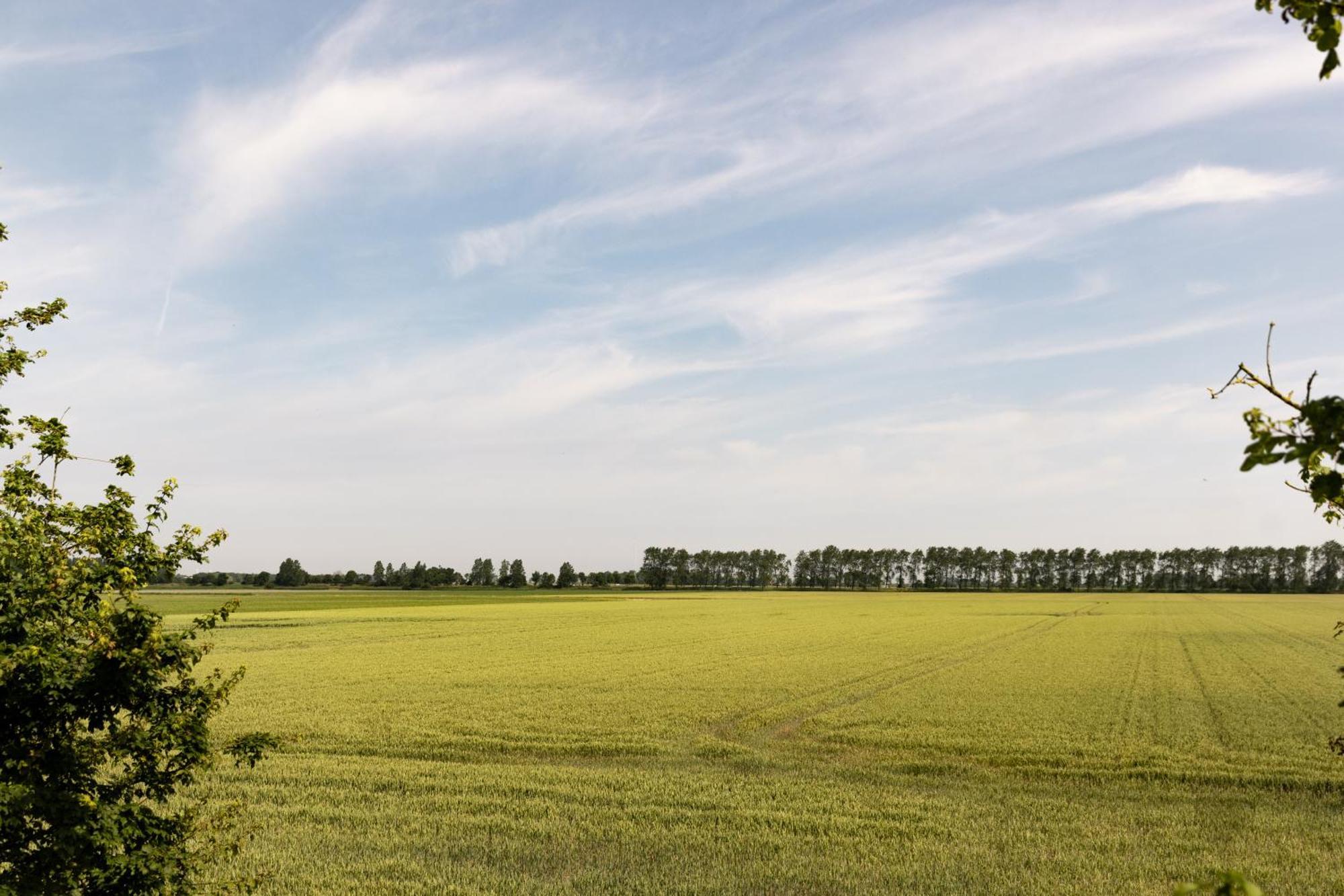 Hof Van Maldegem Kortgene Exteriér fotografie