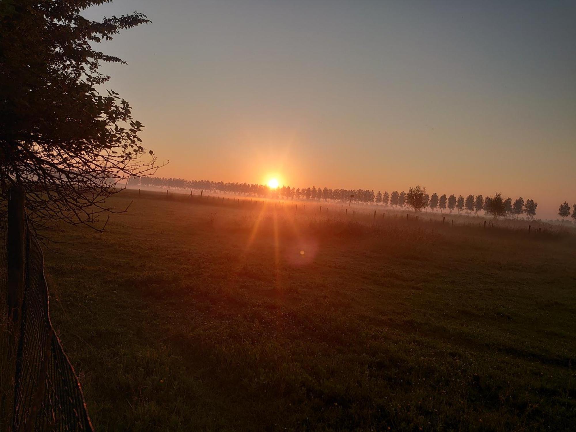 Hof Van Maldegem Kortgene Exteriér fotografie